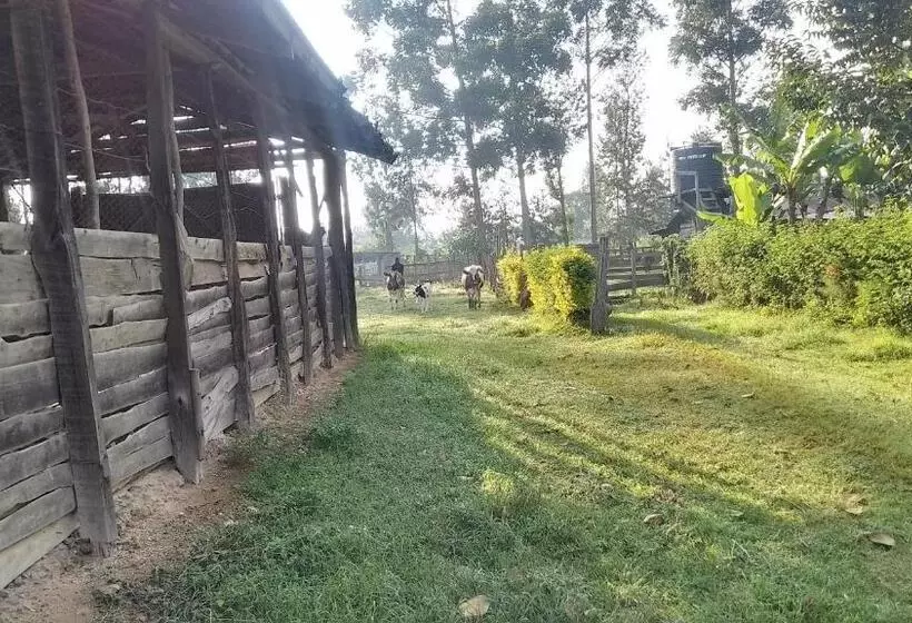 هتل Ikuo Farm