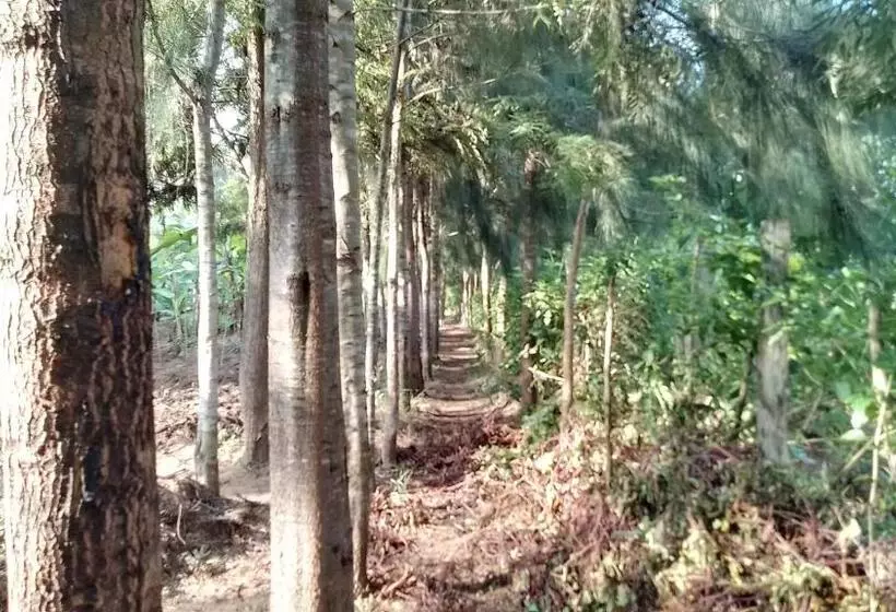 هتل Ikuo Farm