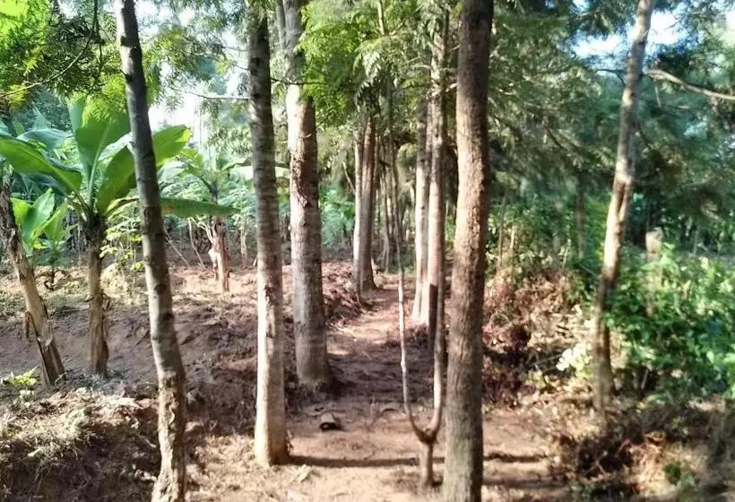 هتل Ikuo Farm