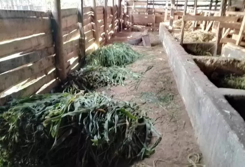 هتل Ikuo Farm