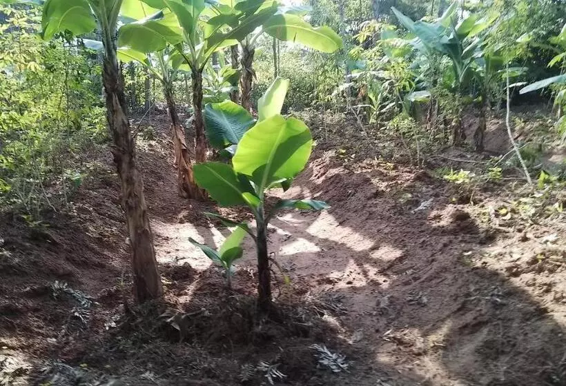 هتل Ikuo Farm