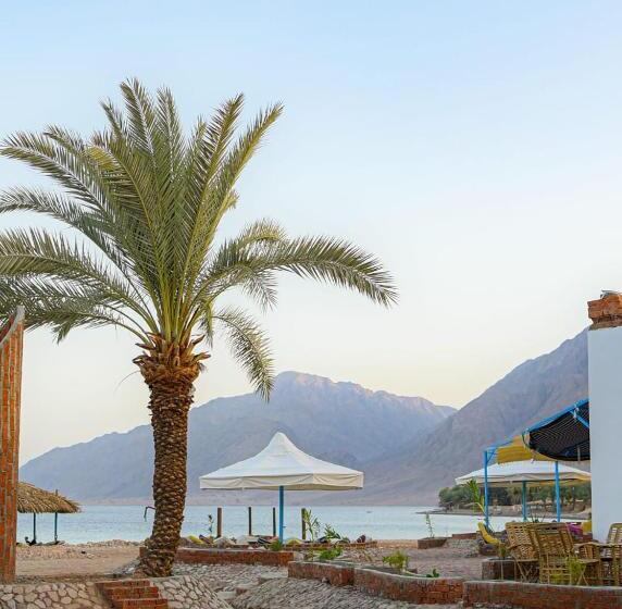 هتل Rayan S Beach Camp