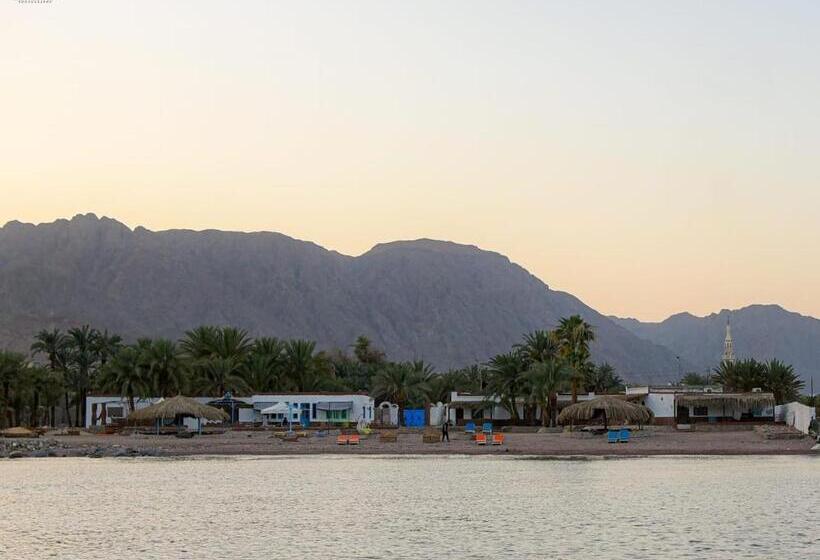 هتل Rayan S Beach Camp