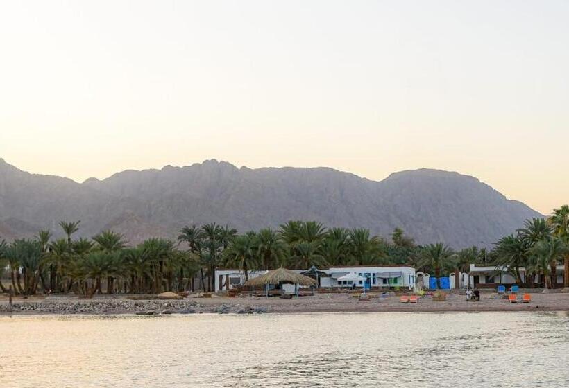 هتل Rayan S Beach Camp