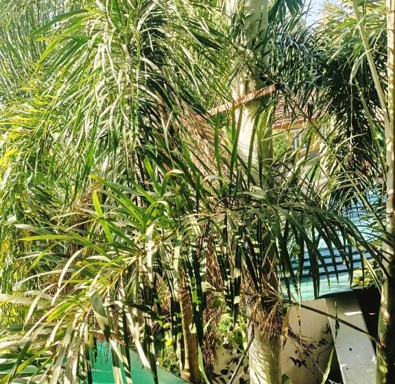 بنسيون Riverside Villa