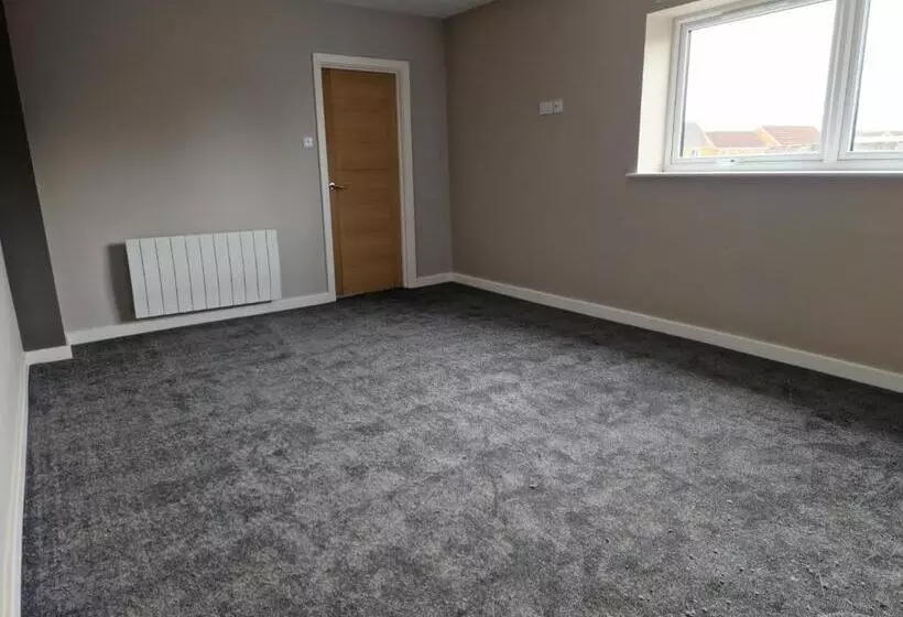 The Olive Tree Apart