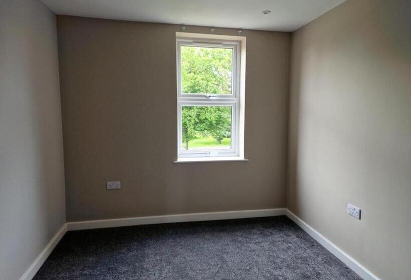 The Olive Tree Apart