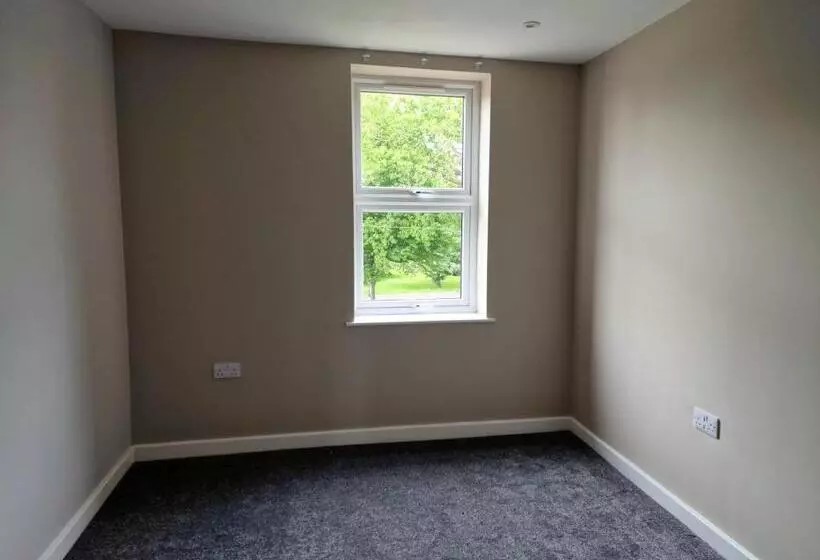 The Olive Tree Apart