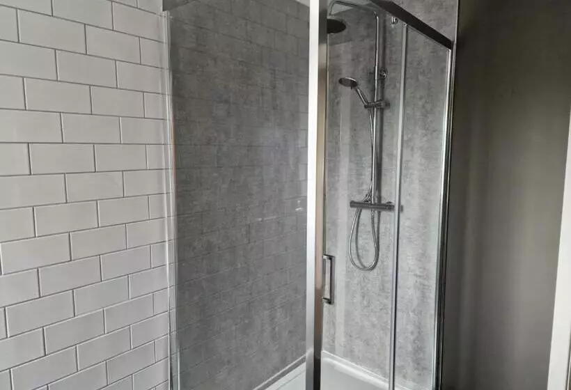 The Olive Tree Apart