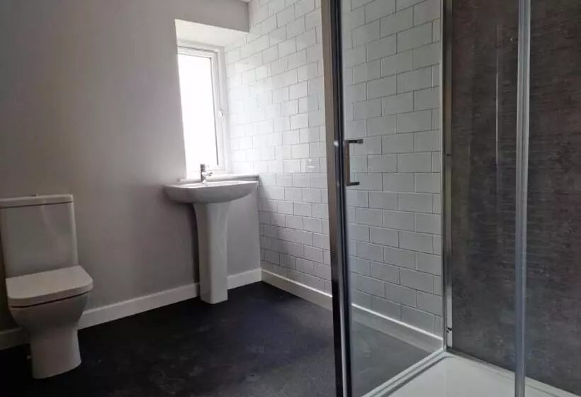 The Olive Tree Apart