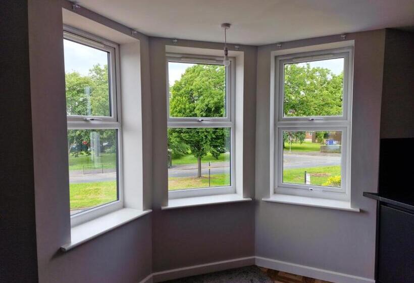 The Olive Tree Apart