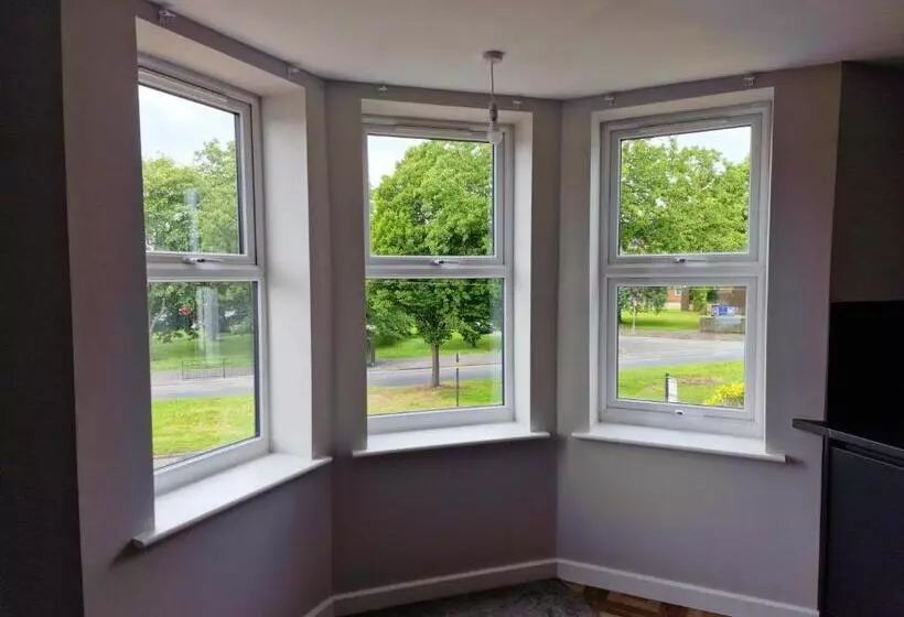 The Olive Tree Apart