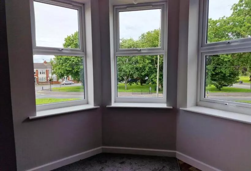 The Olive Tree Apart