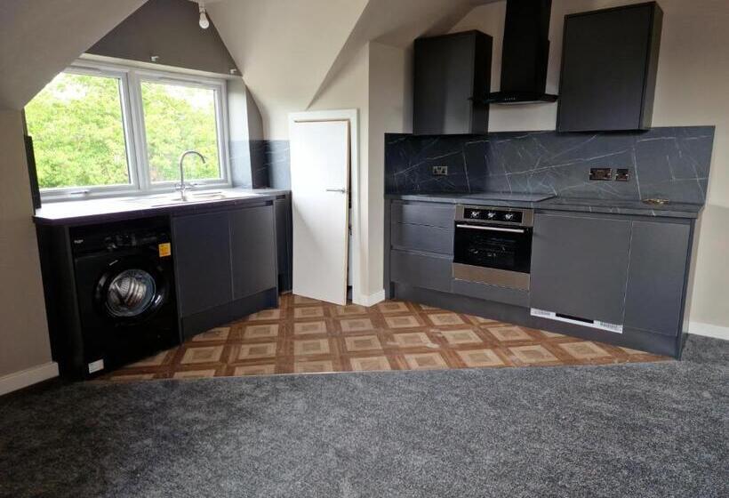 The Olive Tree Apart