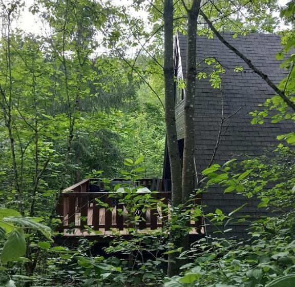 Общежитие Chalet Amapola