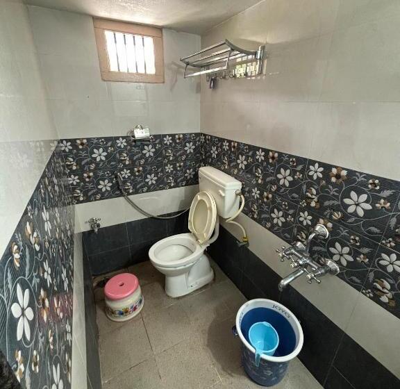 旅馆 Cocogreen Hampi