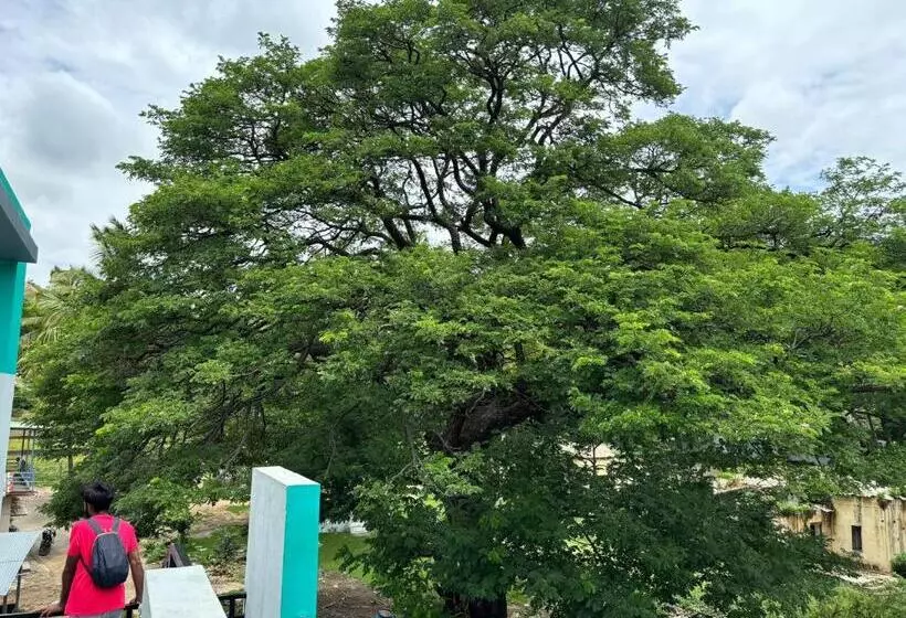 ユースホステル Cocogreen Hampi
