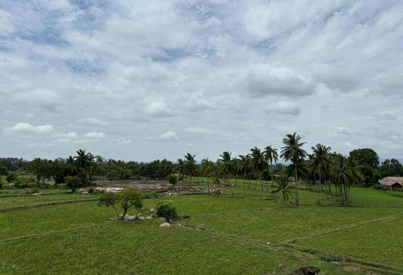 旅馆 Cocogreen Hampi