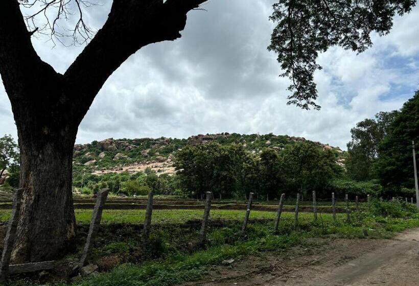 旅馆 Cocogreen Hampi