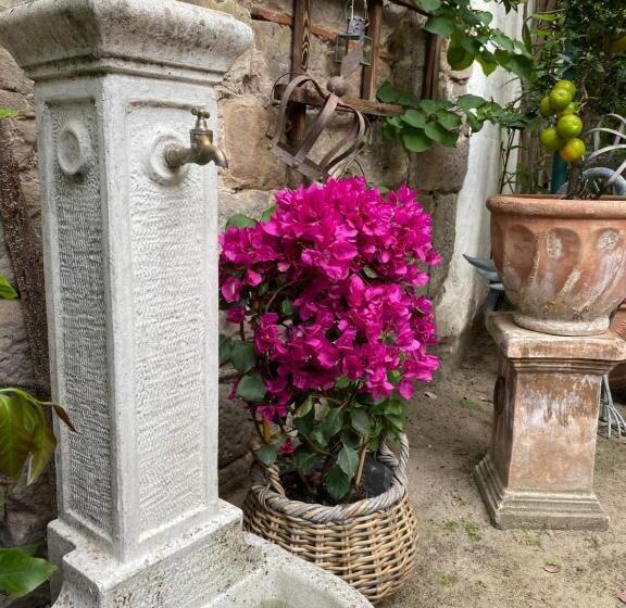 Bed and Breakfast Neles Nest