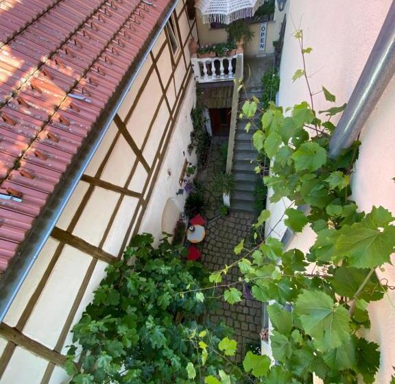 Bed and Breakfast Neles Nest