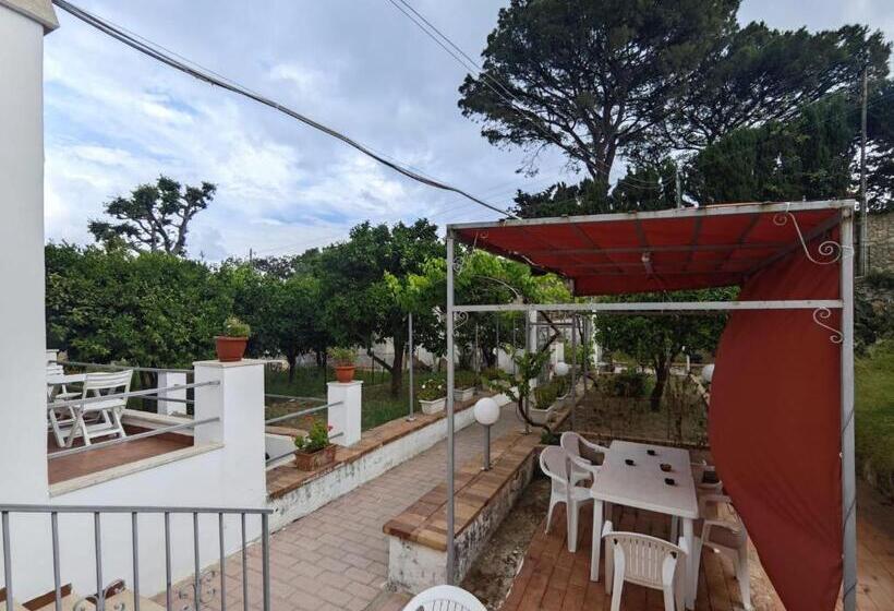 Pensjonat Casa Ferraro