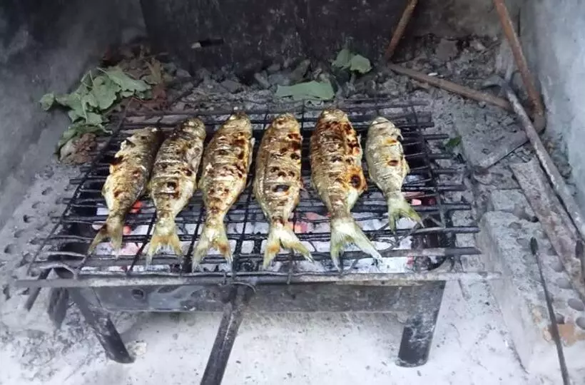 پانسیون Heidi S Summer Villa Primorsko
