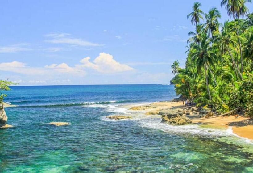 Studio With Ac, Smart Tv, Kitchen, Bath Pool 6