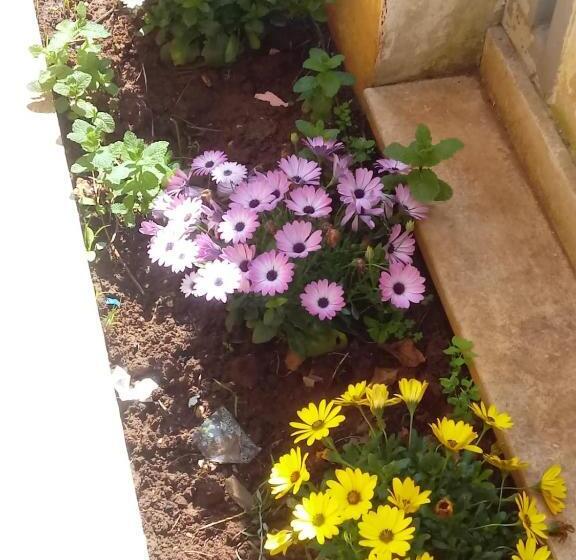 B&b Comfort Suit Lecce