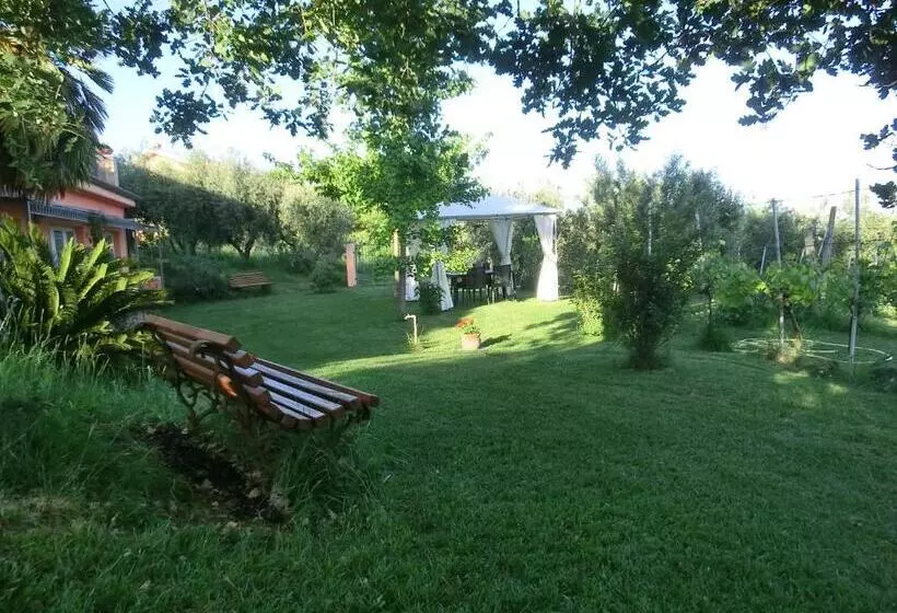 B&b Lieti Colli