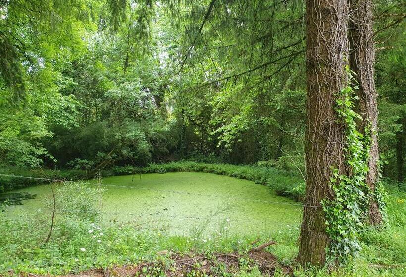 Bed and Breakfast Au Grain De Folie