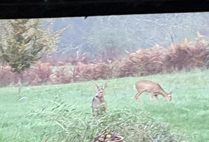 Bed and Breakfast Au Grain De Folie