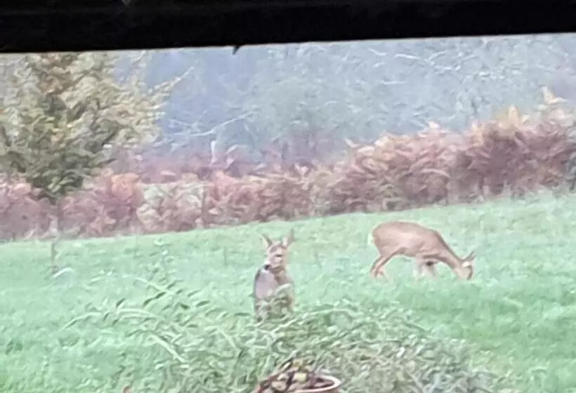 Aamiaismajoitus (B&B) Au Grain De Folie