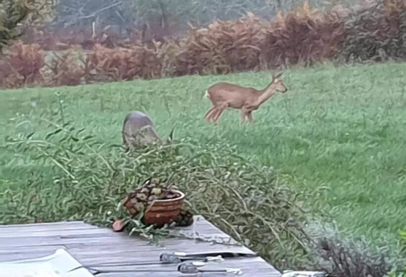 Aamiaismajoitus (B&B) Au Grain De Folie