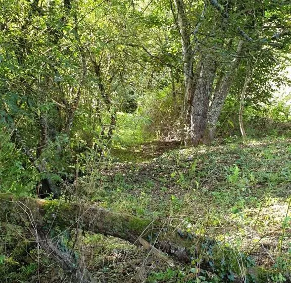 Aamiaismajoitus (B&B) Au Grain De Folie