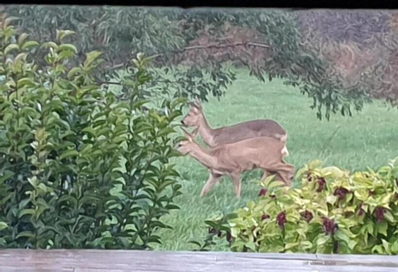 Bed and Breakfast Au Grain De Folie