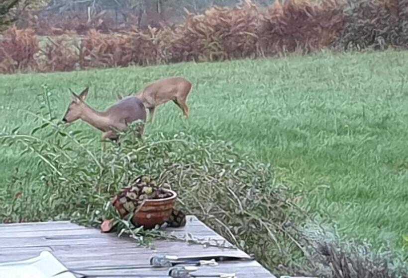 Bed and Breakfast Au Grain De Folie