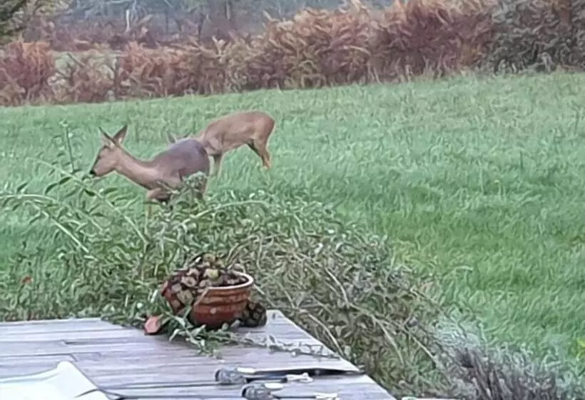 Aamiaismajoitus (B&B) Au Grain De Folie