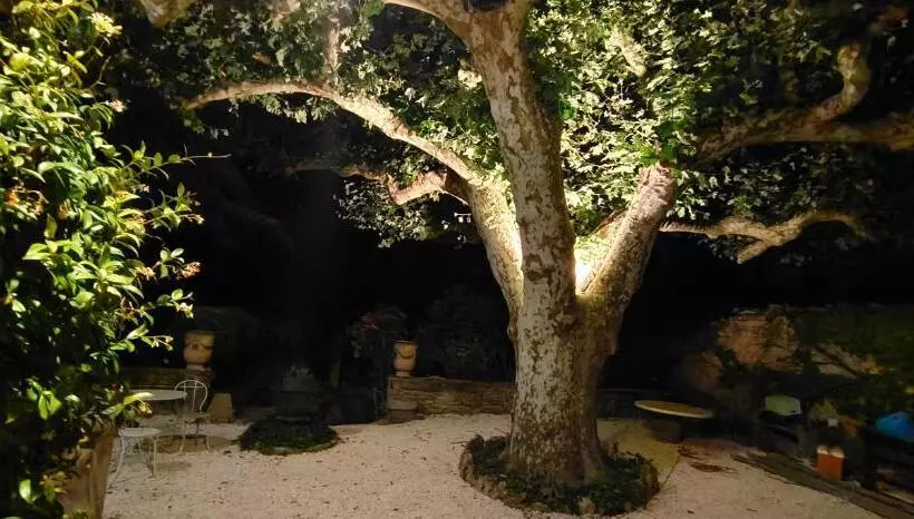 ベッドアンドブレックファースト Rue Du Château à Cabrières D Avignon