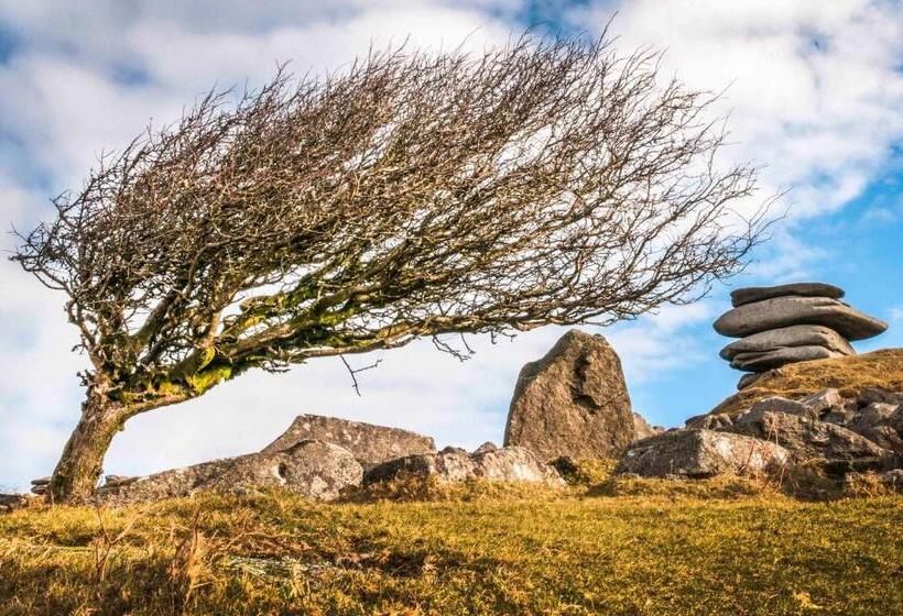 ベッドアンドブレックファースト Smallholding Retreat