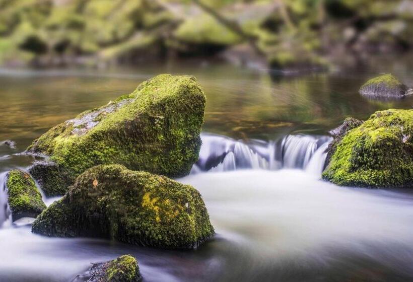 ベッドアンドブレックファースト Smallholding Retreat