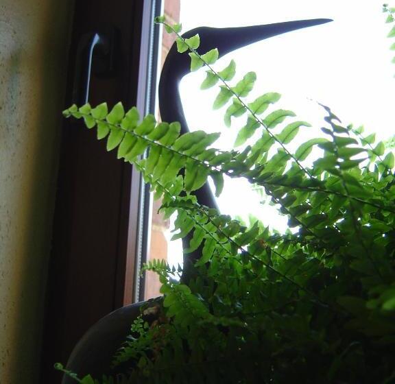 Bed & Breakfast Schlommefurth