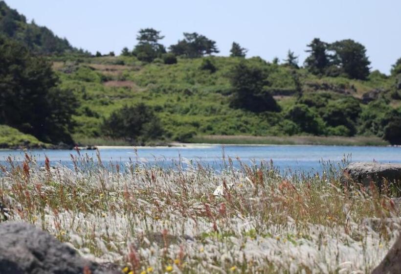 Hado Fourseasons Pension