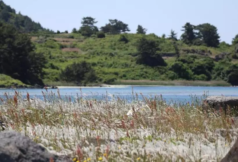 Hado Fourseasons Pension