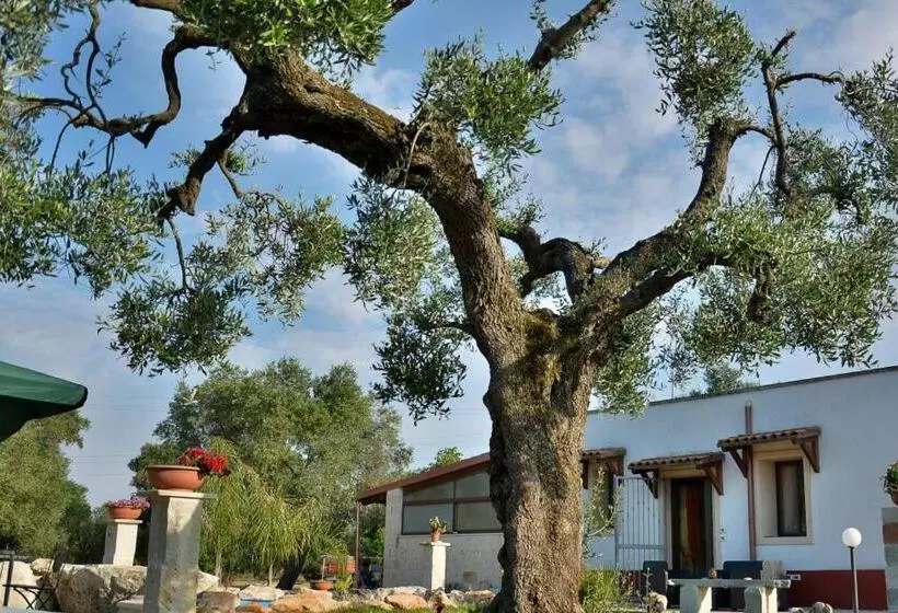 ホテル Agriturismo Molle