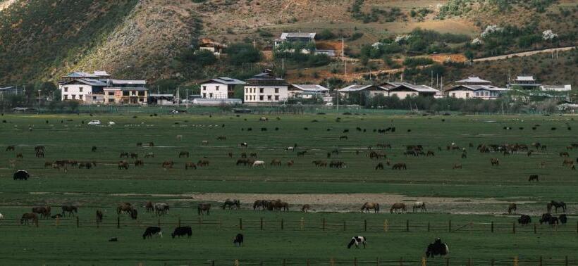 호텔 Linden Centre Naada