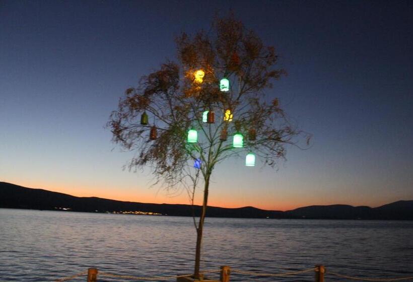 ホテル White Moon