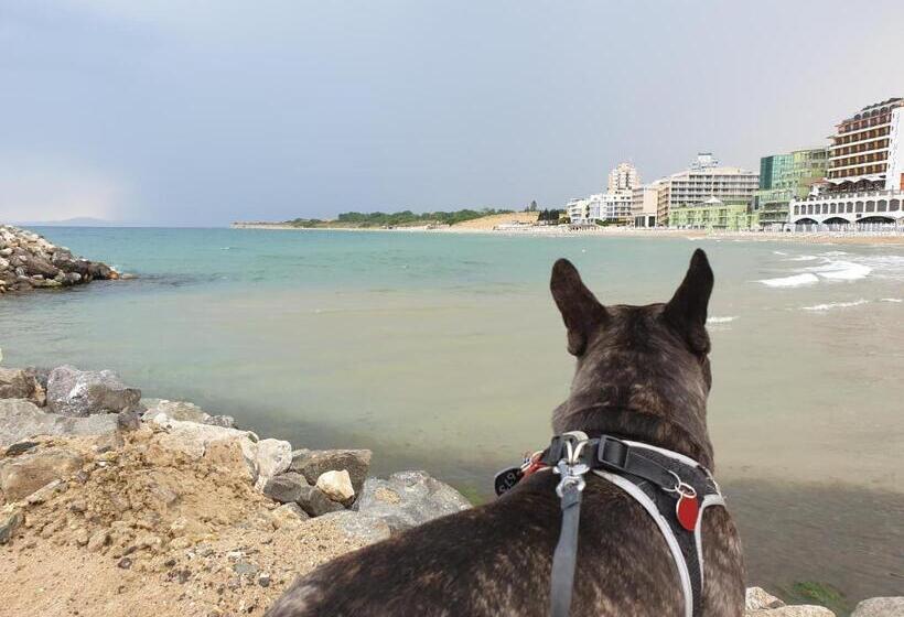 Panzió квартири сън