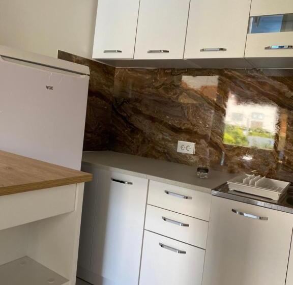 پانسیون Apartmani Izo L