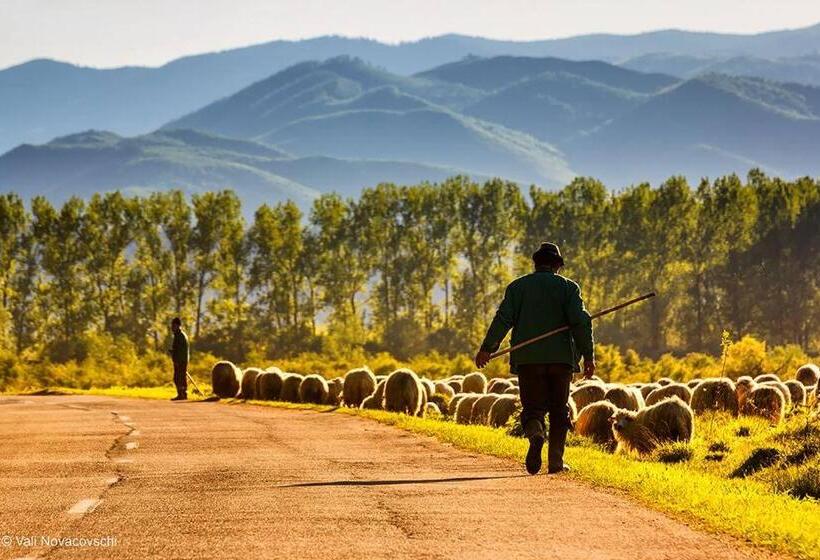 膳宿费 Badiu S Guest House